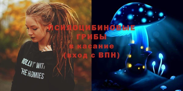 дживик Иннополис