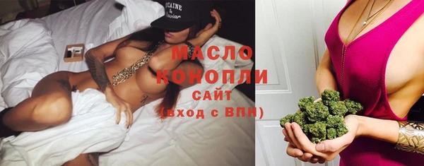 шишки Инта