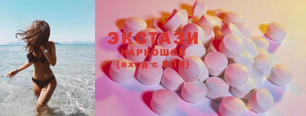 шишки Инта