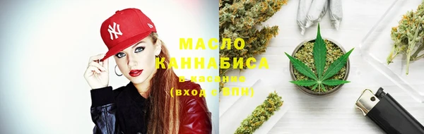 шишки Инта