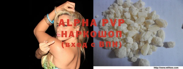 шишки Инта