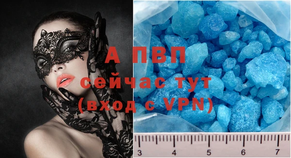 шишки Инта