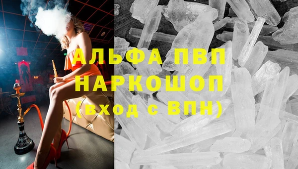 шишки Инта