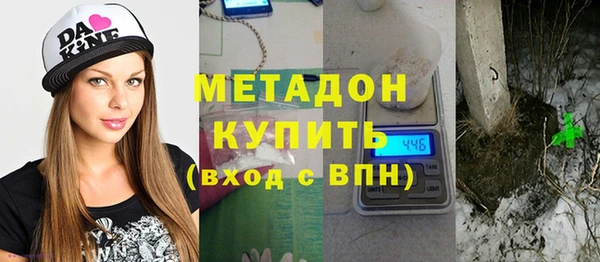 шишки Инта