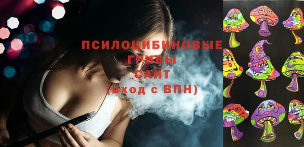 дживик Иннополис