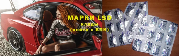 шишки Инта