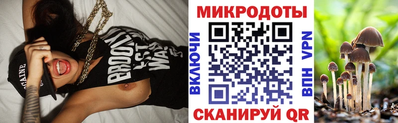 Галлюциногенные грибы Psilocybe  darknet телеграм  Камышин 