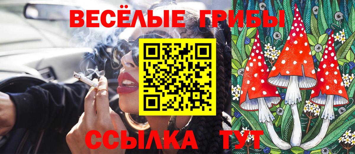 Камышин  Псилоцибиновые грибы мухоморы  Вход с VPN  Галлюциногенные грибы Psilocybine cubensis 
