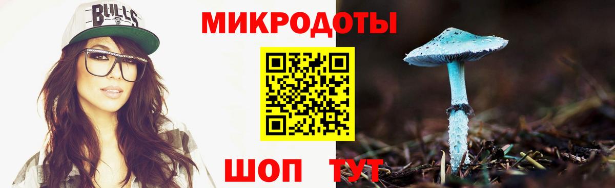 Галлюциногенные грибы GOLDEN TEACHER Камышин