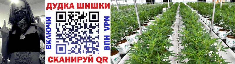 Канабис Ganja Камышин