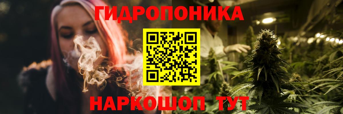 APVP Камышин